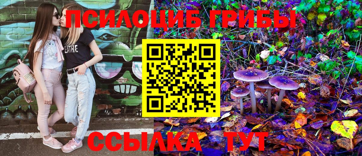 Каменск-Уральский  Галлюциногенные грибы GOLDEN TEACHER  Вход с VPN 
