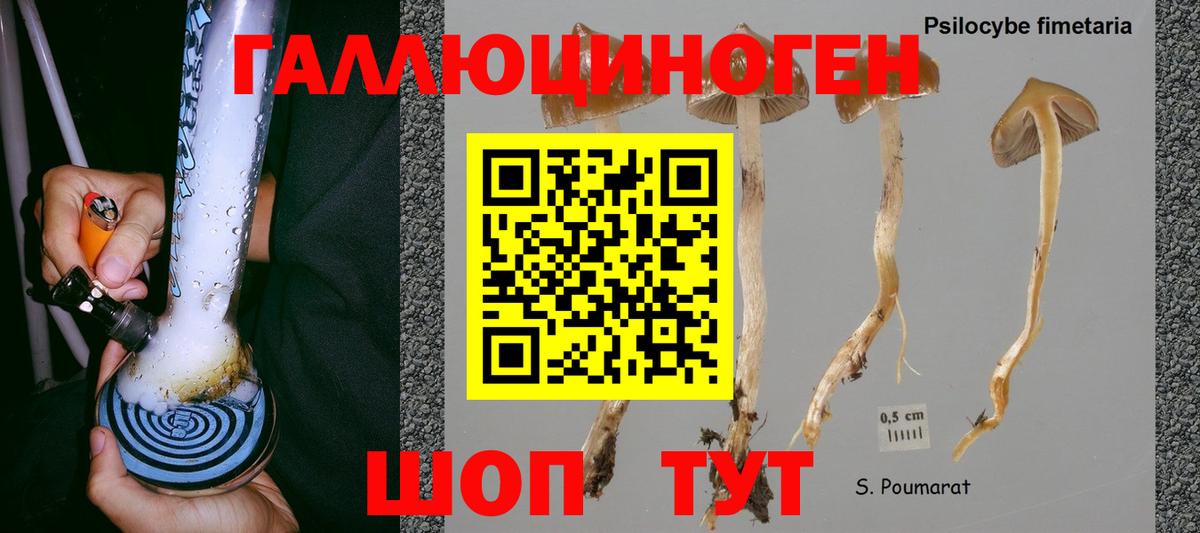 Метадон Каменск-Уральский